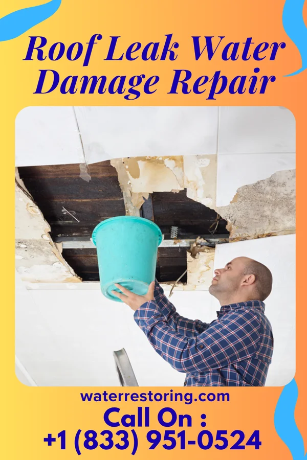 Roof Leak Water Damage Repair in Burlington, NC